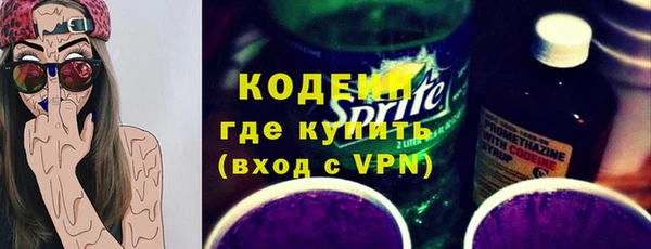 соль ск Ельня