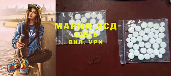 амф Гусиноозёрск