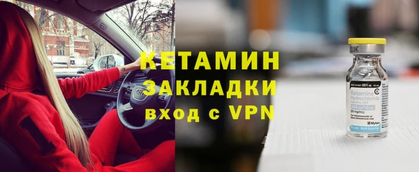 стаф Дмитровск