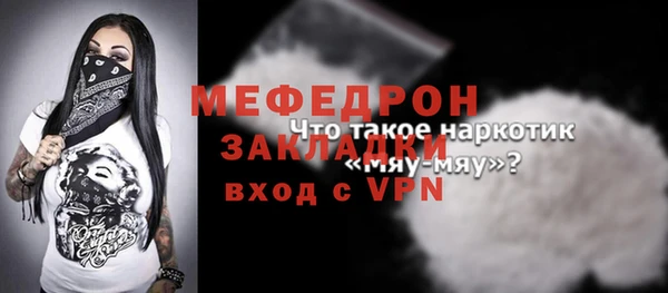 соль ск Ельня