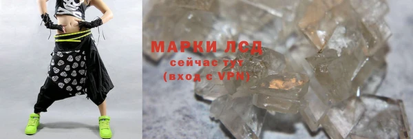 соль ск Ельня