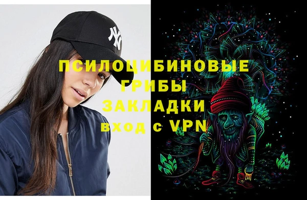 стаф Дмитровск