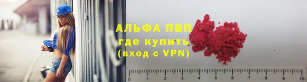 соль ск Ельня