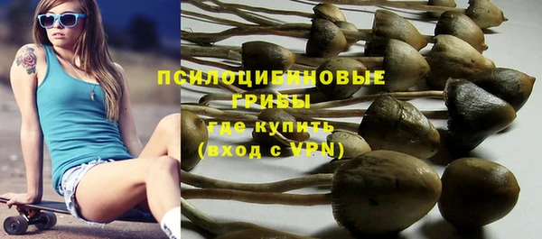 синтетический гашиш Елизово