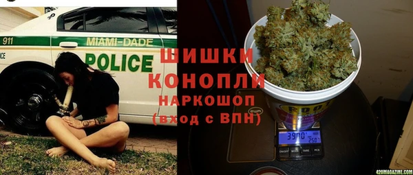 стаф Дмитровск