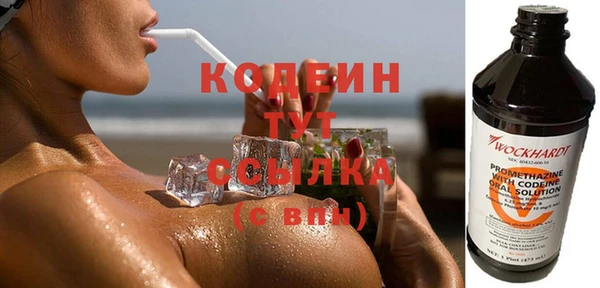 соль ск Ельня