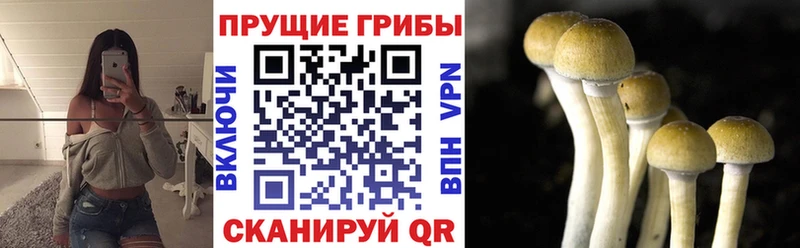 mega зеркало  где можно купить наркотик  Красноуфимск  Псилоцибиновые грибы ЛСД 