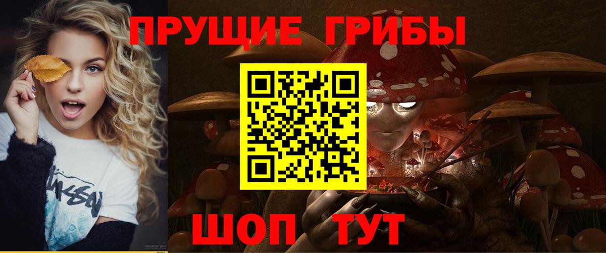 Галлюциногенные грибы прущие грибы Красноуфимск